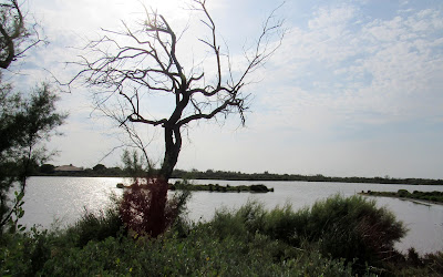 Lagunas de la Camarga