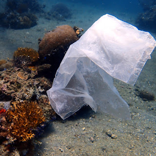 This plastic bag will take hundreds of years to decompose in the ocean.