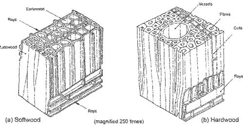 Retired--Now What?: Steel-Like Wood