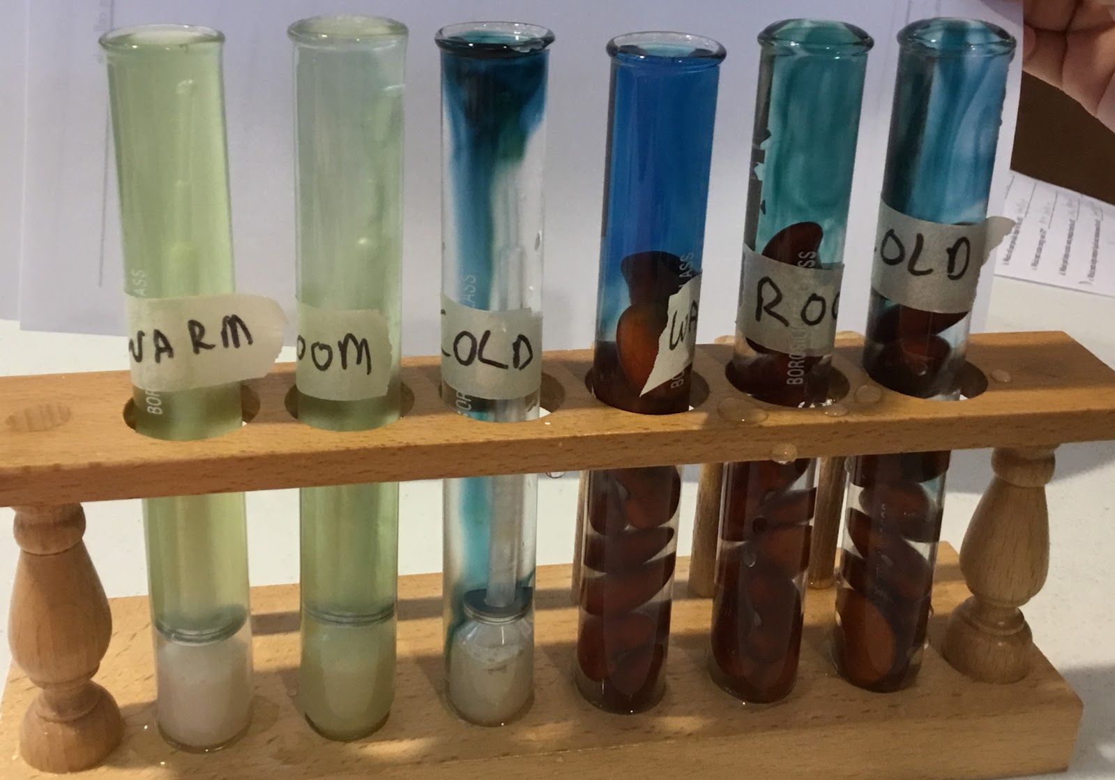 What Color Tube For Basic Metabolic Panel My Coloring