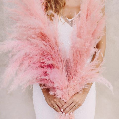 boda plumas plumeros pampa cortaderia selloana faisan perdiz