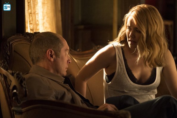 The Blacklist - The Troll Farmer (No. 38) - Review: "Hunting Ghosts"
