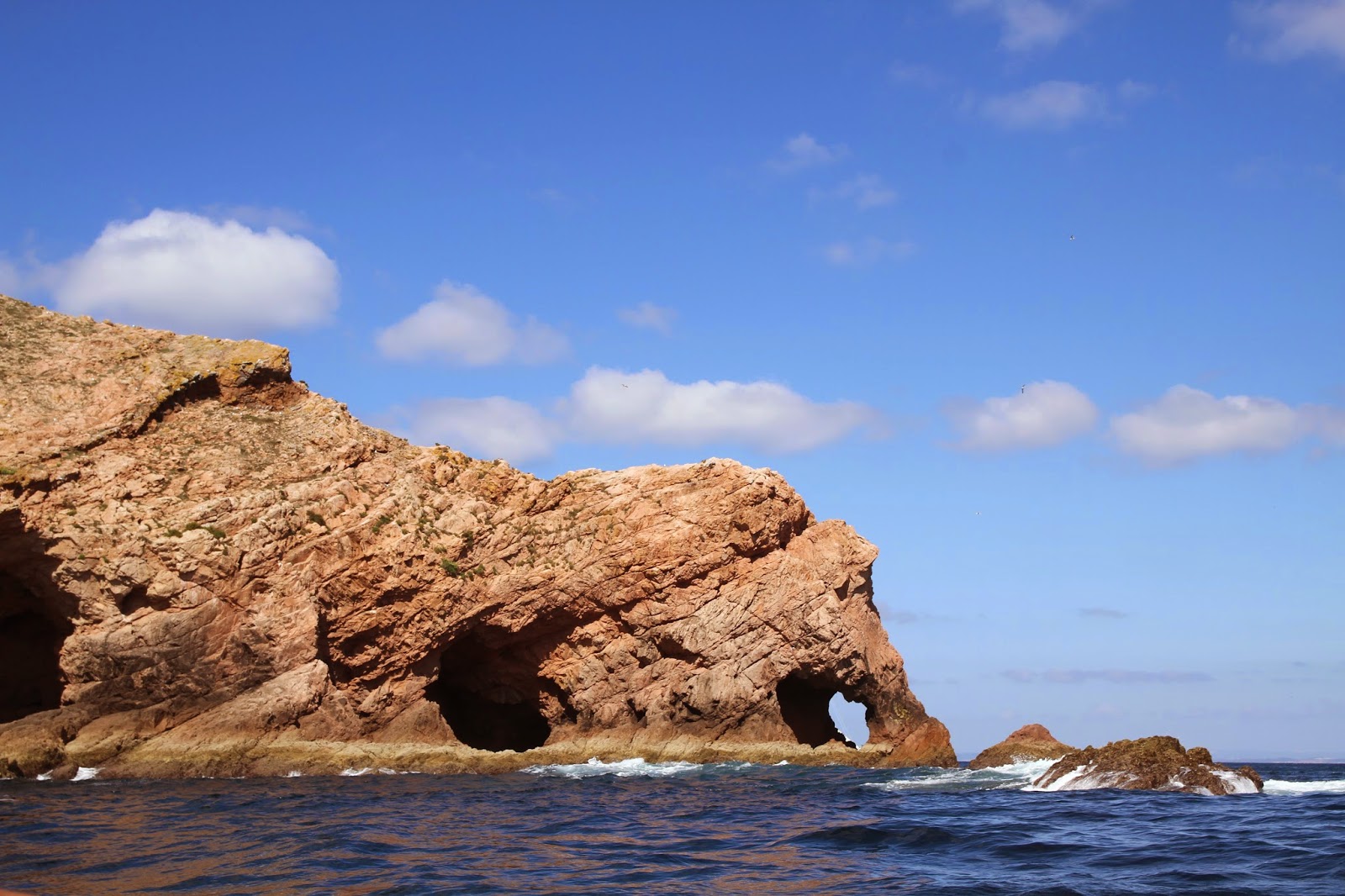 Berlengas, um paraíso selvagem... e aqui tão perto! | Portugal