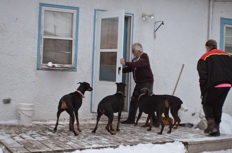 Time to go in! Brrr it is cold (Photo by Trisha Field)