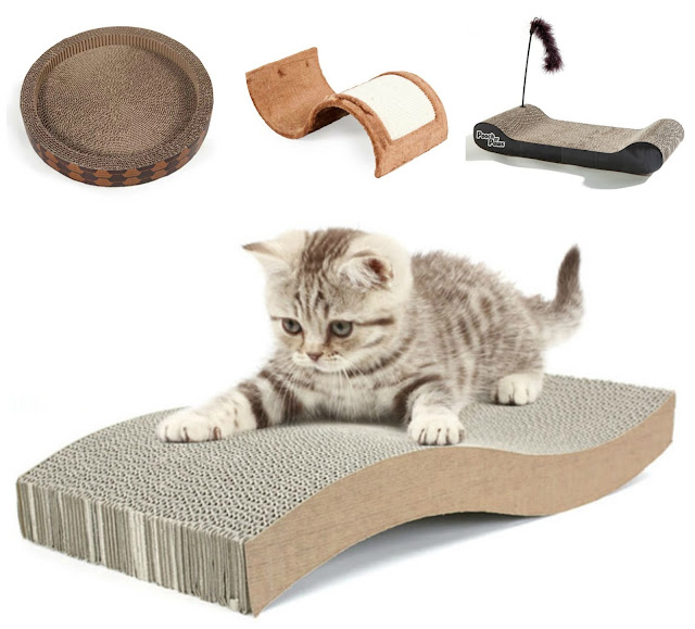 Christmas presents you should definitely buy your cat!