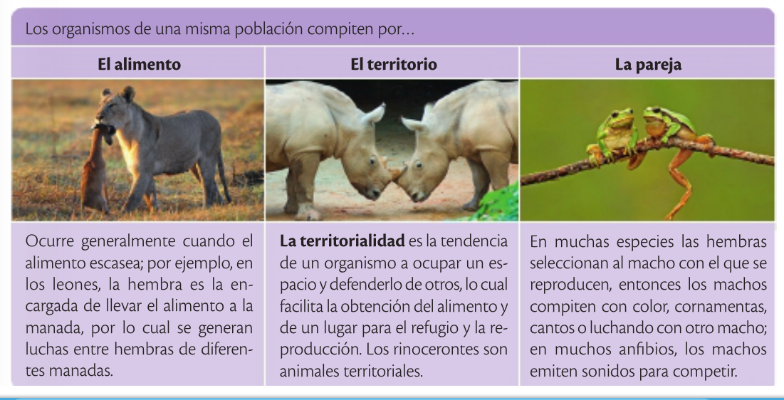 aulabiogeotoni 4º ESO. TEMA 10. DINÁMICA DE LOS ECOSISTEMAS