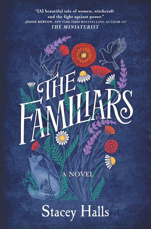 2019 Debut Author Challenge - February Debuts