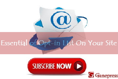 Essential of Opt-in List On Your Site