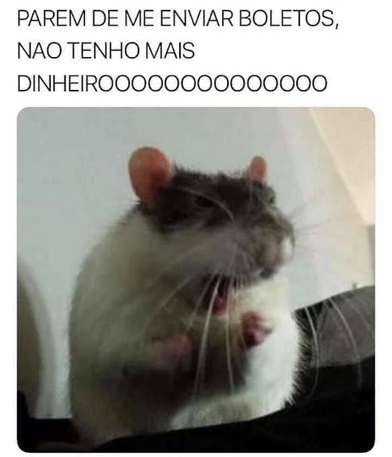 Memes engracados Memes engracados