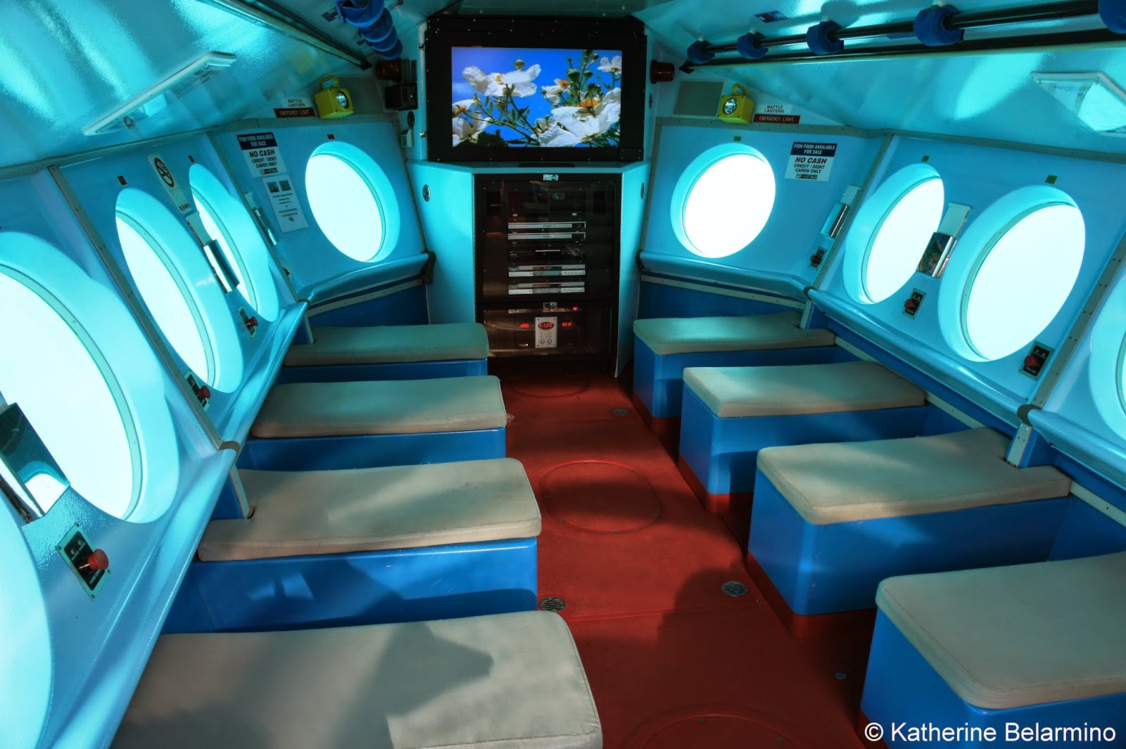 Exploring Catalina Island’s Deep Blue Sea Travel the World