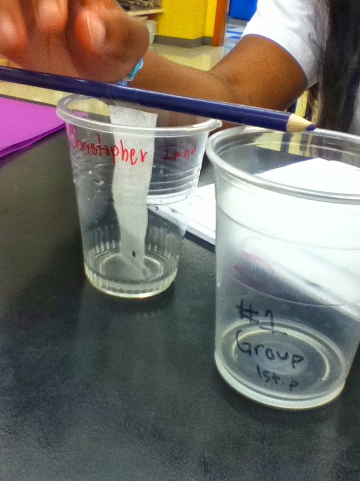 Paper Chromatography