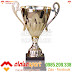 Cup Đồng Bóng Đá Đẹp Mã 03