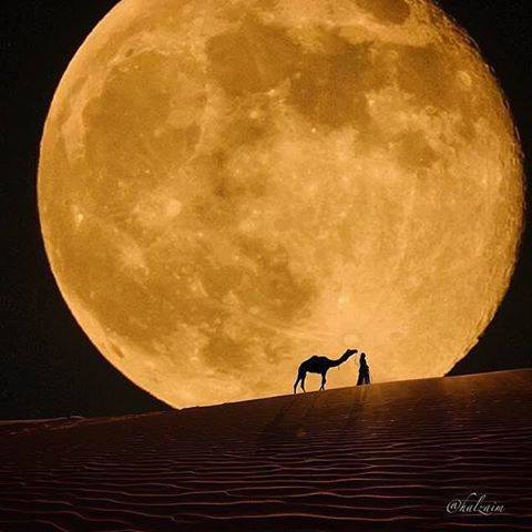 Καλοκαιρινά ηλιοβασιλέματα