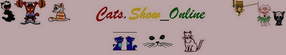Cats Show Online