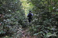 gunung tajam belitung