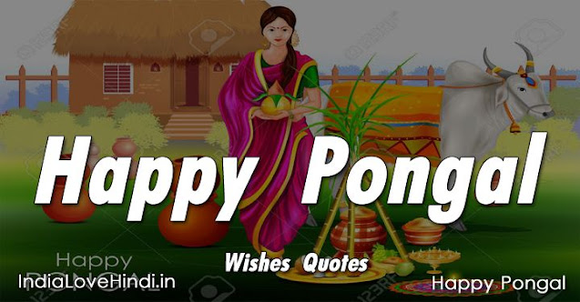 pongal wishes, pongal quotes, pongal sms, pongal messages, pongal images, pongal photos, happy pongal wishes, pongal status, pongal greeting card, pongal quotes in english, pongal quotes in tamil, pongal quotes in telugu, thai pongal, muttu pongal