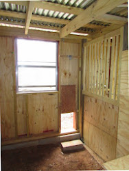 chicken door coop open