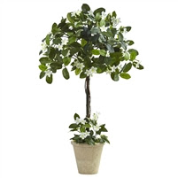3’ STEPHANOTIS TOPIARY W/PLANTER #6820 3’ STEPHANOTIS TOPIARY W/PLANTER #6820