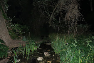 Crockett Garden at night