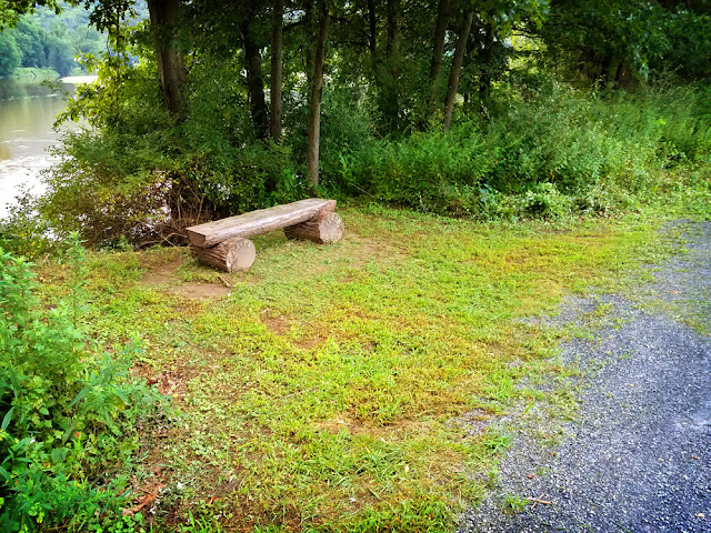 Log Bench on the McDade Trail