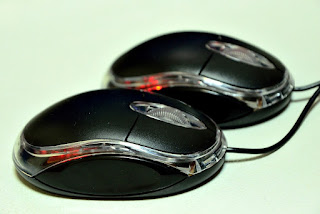 Computer Mouse, Mouse