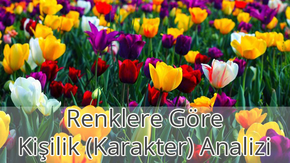Renklere Göre Kişilik (Karakter) Analizi Renklere Göre Kişilik (Karakter) Analizi