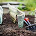 What is the best way to escape poverty?