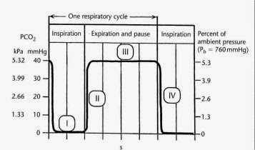 Capnography basics super simplified • Critical Pediatrics