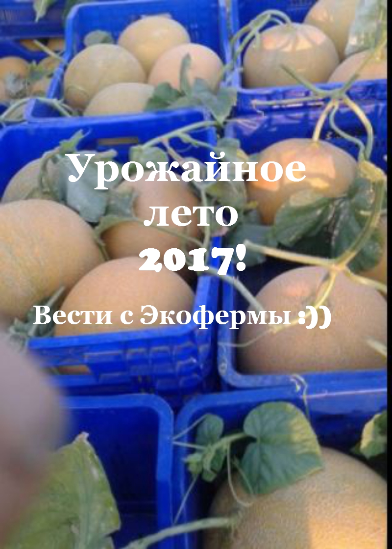 Уральский огород - без особых хлопот!: ЗАКРЫТИЕ СЕЗОНА В ПРИРОДНОМ ...