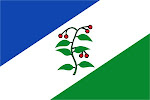 Bandera d'Arbúcies