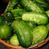 14 health benefits of cucumber