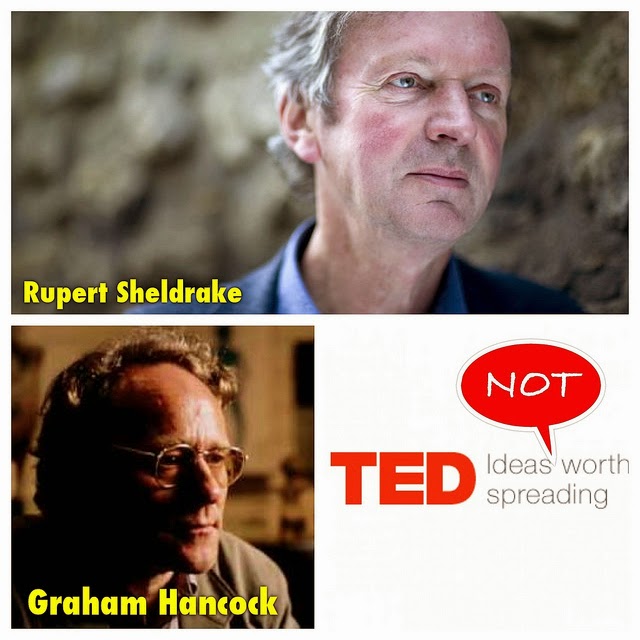 TED 到底該不該讓你／妳看那兩個演講？