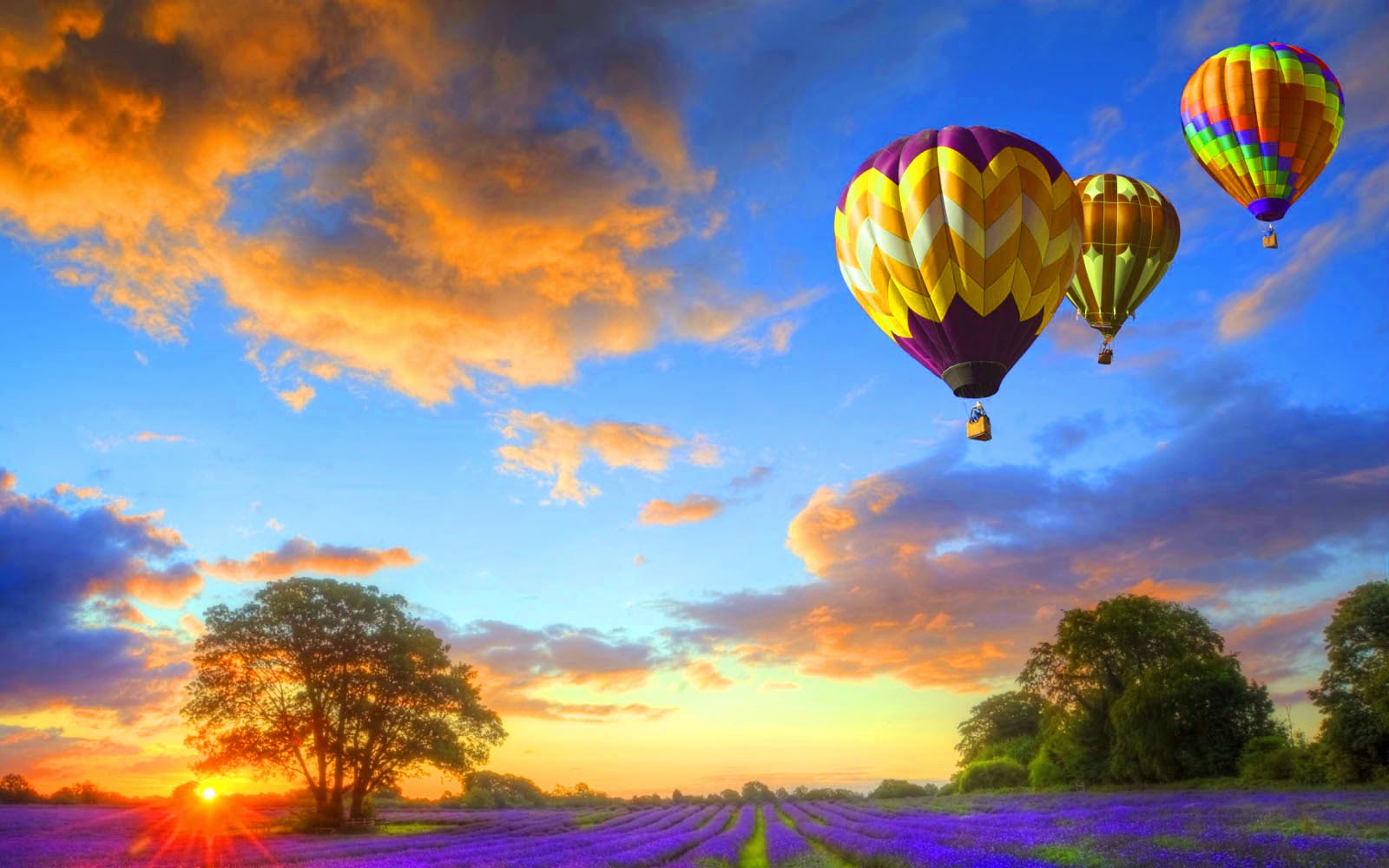 wallpapers Hot Air Balloons Wallpapers