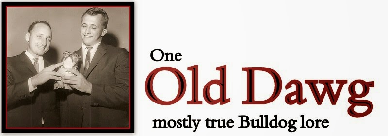 One Old Dawg