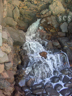 Jameos del Agua, Lanzarote Jameos del Agua, Lanzarote by Susana Cabeza