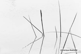 photographie artistique noir et blanc fine art photography