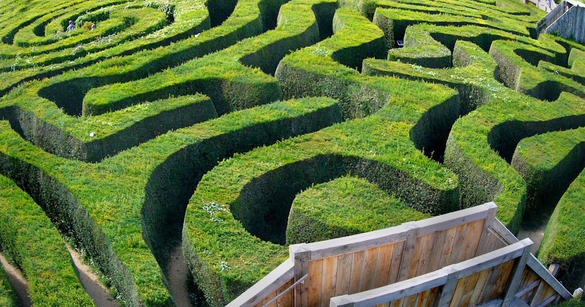 Hedge maze