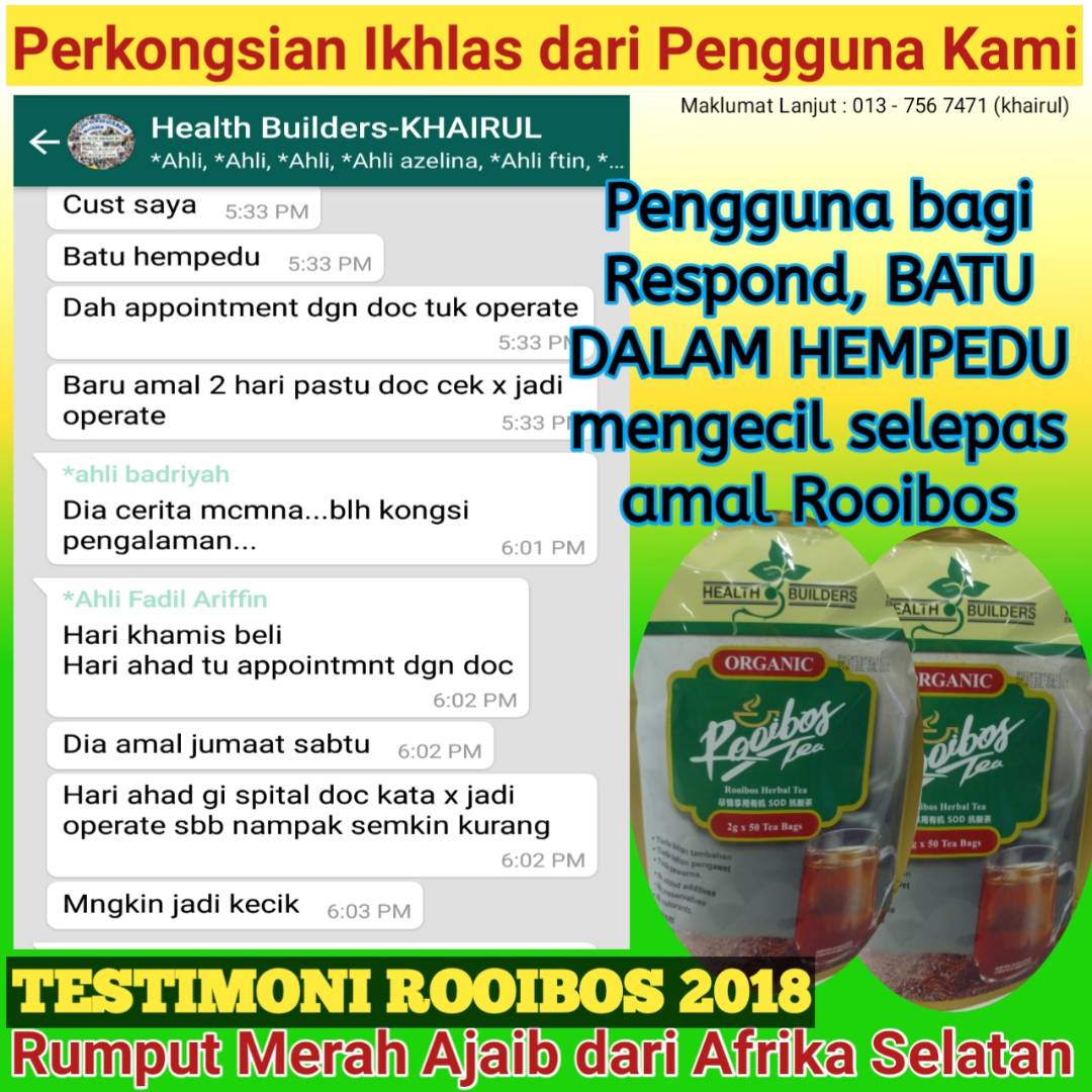 Organic Rooibos Tea Malaysia Kelebihan sloppyploaty