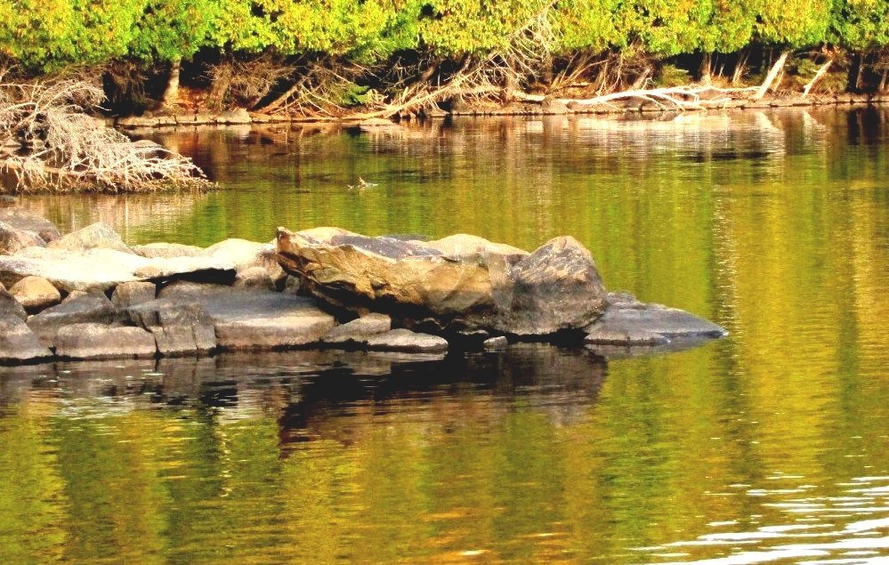 Birch Lake Birch Lake Michigan