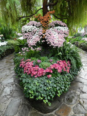 Chrysanthemum butterfly display at the Allan Gardens Conservatory 2015 Chrysanthemum Show by garden muses-not another Toronto gardening blog