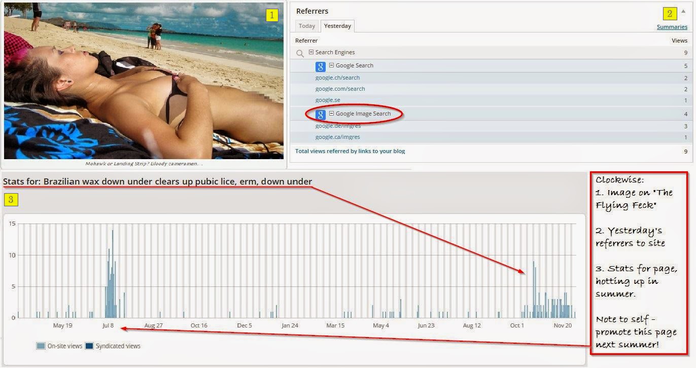 Screenshot showing traffic referrers, visits and target image of bikini wax