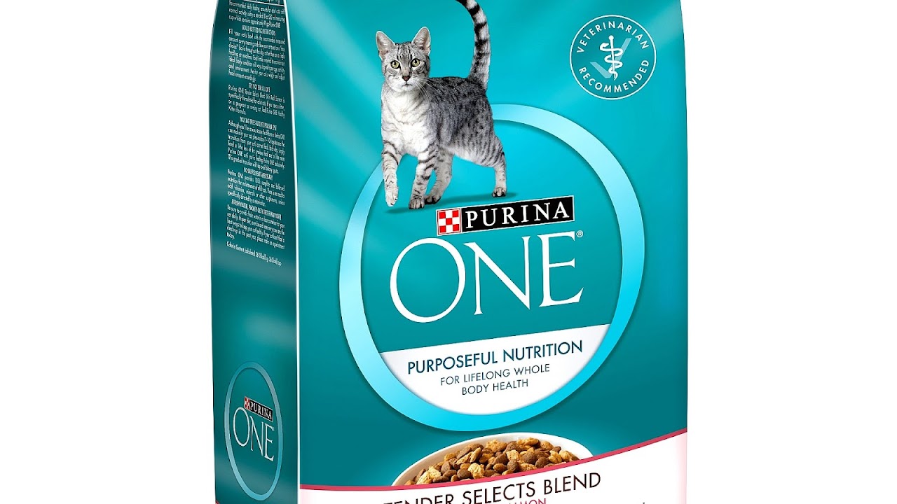 Types Of Cat Food Brands Brand Choices