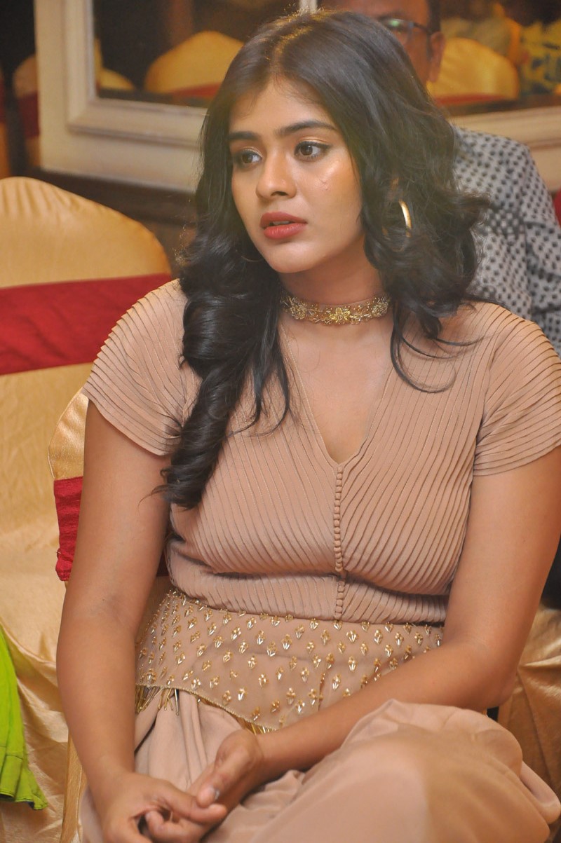 Hebah Patel Photos at Santosham Awards 2017 Curtain Raiser 12 hebah patel photos southcolors%2B%252812%2529
