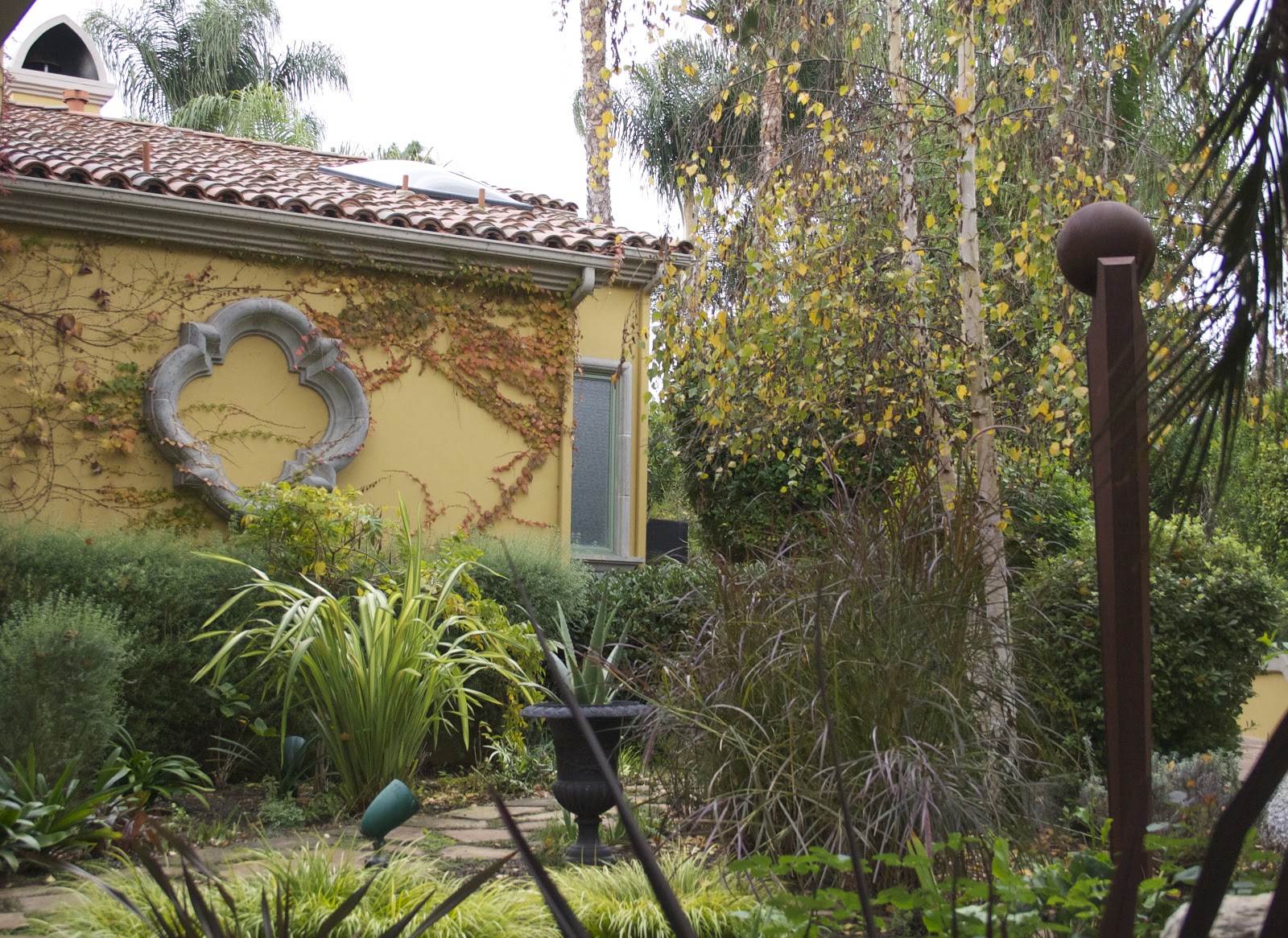 The Gardens of Petersonville The Winter Garden in Southern California