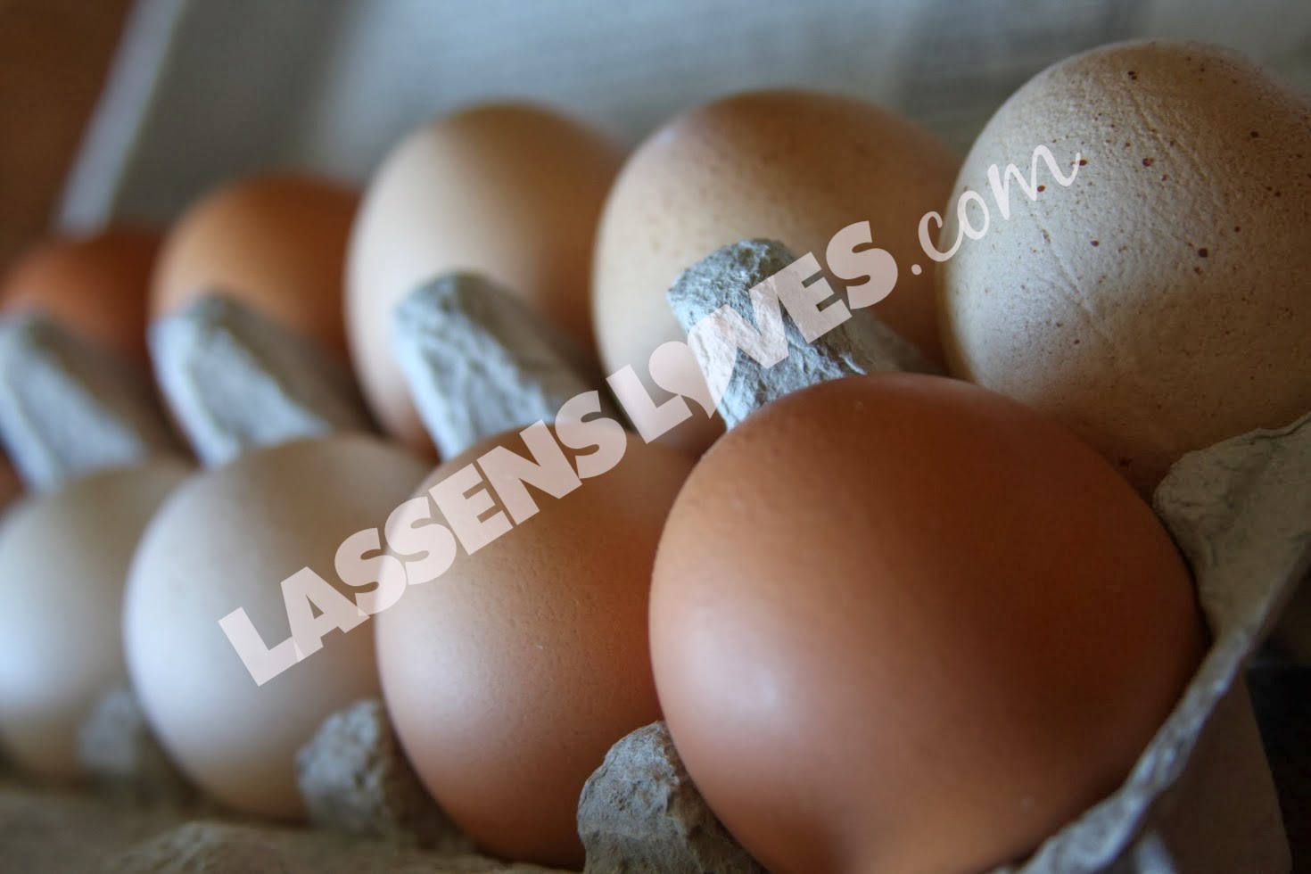 lassensloves.com, Lassen's, Lassens, Burroughs+Family+Farm+Eggs, Burroughs+Eggs