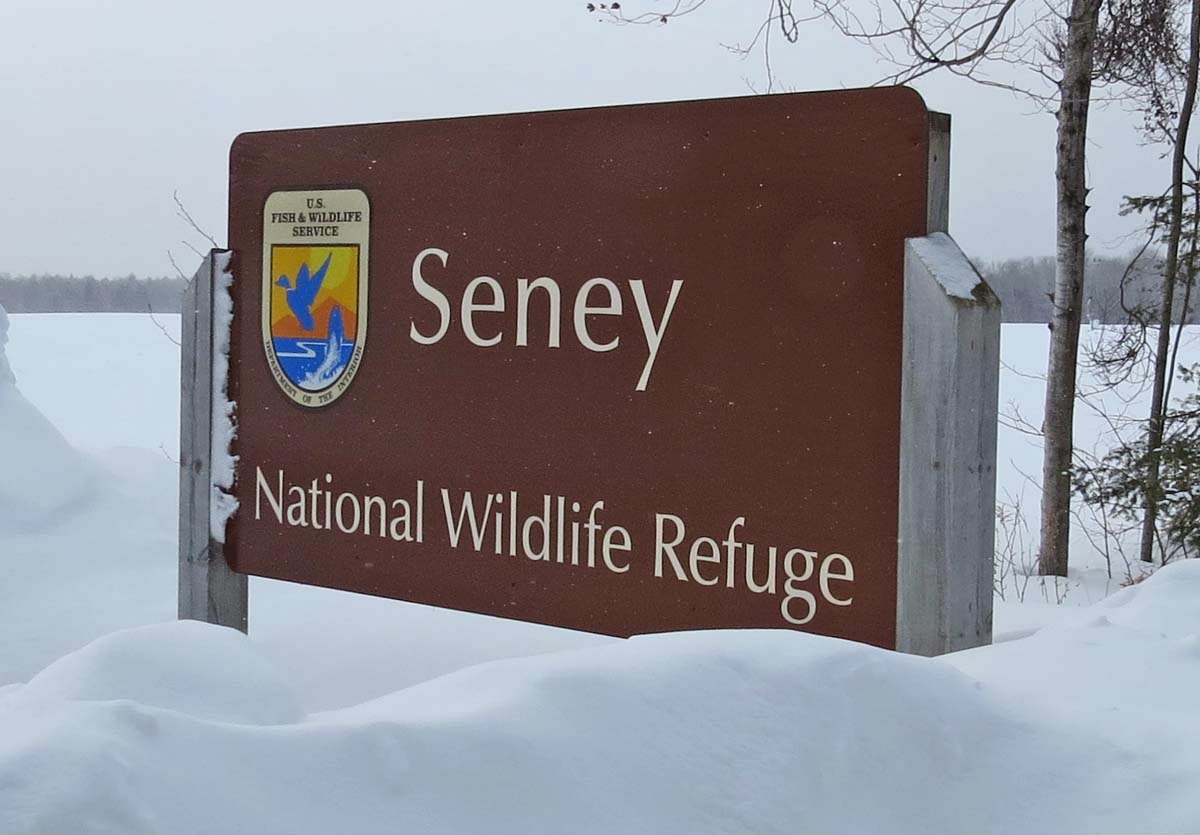 Seney national wildlife refuge jobs