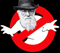 No al Darwinismo