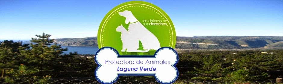 Protectora de Animales Laguna Verde