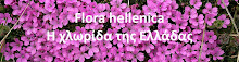 Flora hellenica Η χλωρίδα της Ελλάδας