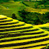 Mu Cang Chai - Natural masterpiece of the mountainous north of Vietnam
